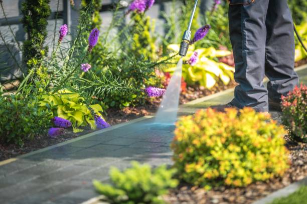 Reliable Laurens, SC Pressure Washing Services Solutions